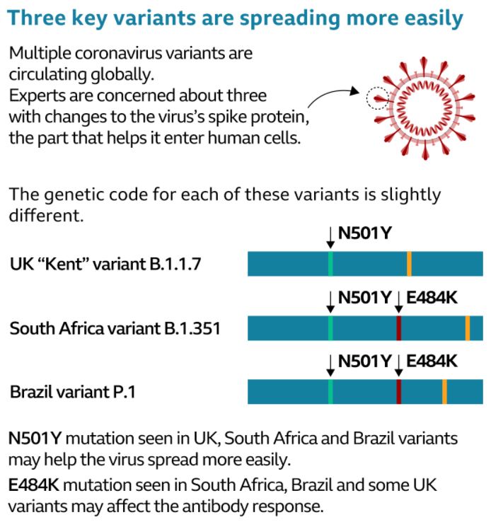 Three new virus variants 1-3-2021